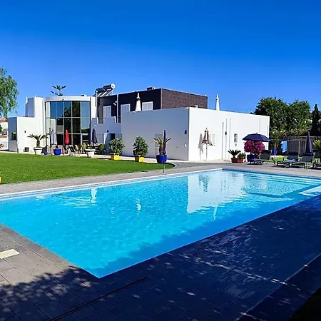 Hotel Flamingo 4*